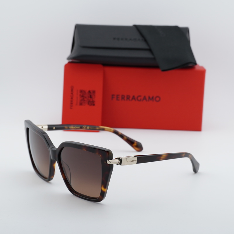 Salvatore Ferragamo SF1106S Cat Eye Sunglasses