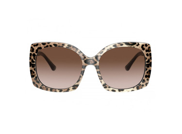 Dolce & Gabbana DG4385F 316313 Leopard Brown on Black/Brown