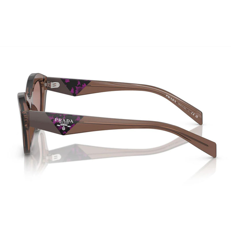 Prada PRA02S Cat Eye Sunglasses