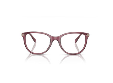 Coach HC6220F 5773 Transparent Purple 56mm