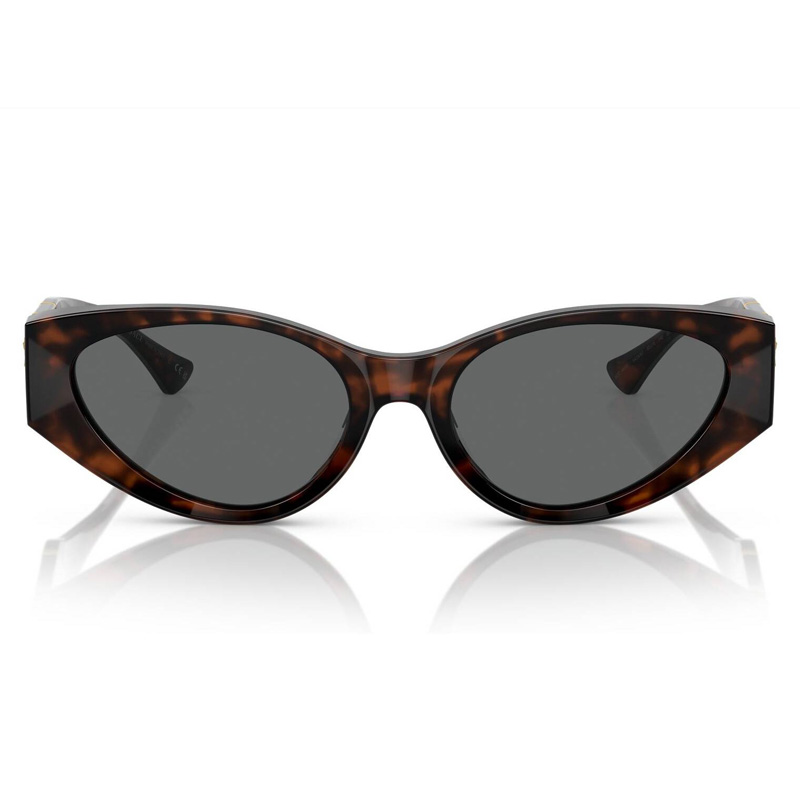 Versace VE4454 Cat Eye Sunglasses