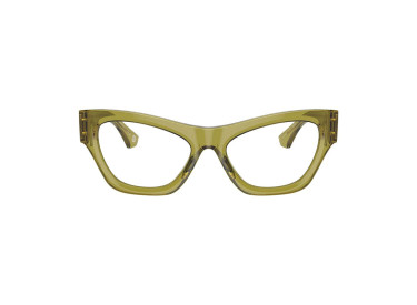 Burberry BE2405U 4118 Transparent Green 53mm
