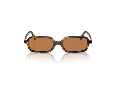 Miu Miu MU11ZS VAU2Z1 Honey Havana/Brown