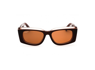 Salvatore Ferragamo SF1079S 211 Brown/Nude/Brown