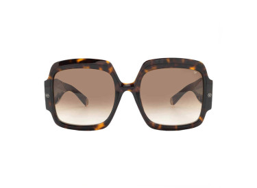 Philipp Plein SPP038M 0722 Shiny Dark Havana/Brown Gradient