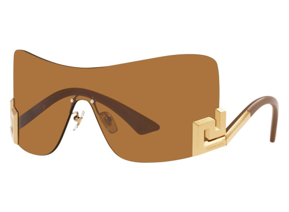 Versace VE2240 100263 Bronze/Dark Bronze