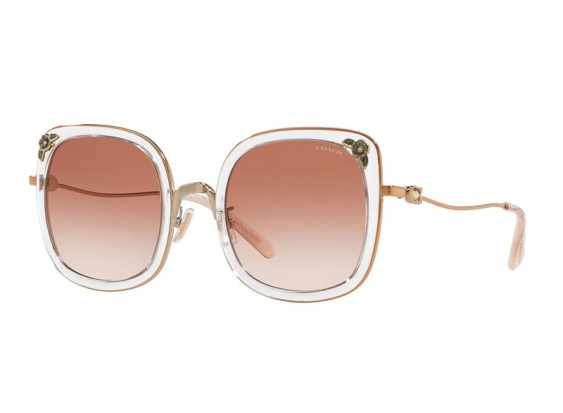 Coach HC7101B 933113 Rose Gold and Pink Transparent/Pink Gradient