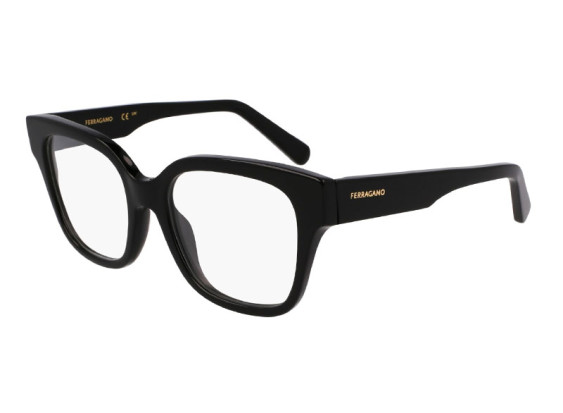 Salvatore Ferragamo SF2952N 001 Shiny Black 53mm