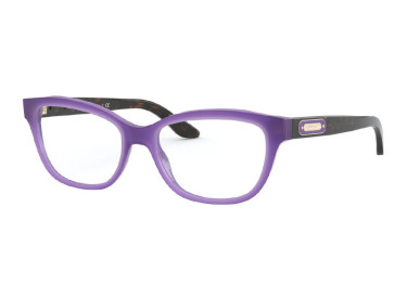 Polo Ralph Lauren RL6194 5337 Violet Opaline/Dark Havana 52mm