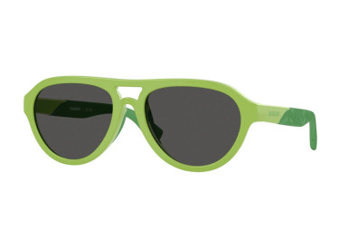 Burberry JB4005U 418287 Green/Grey