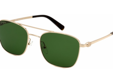 Salvatore Ferragamo SF158S 717 Gold / Green