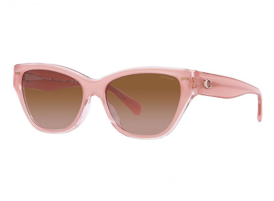 Coach HC8370F 574313 Milky Pink/Transparent Pink/Brown Gradient