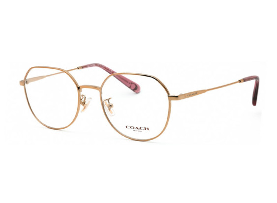 Coach HC5125D 9331 Rose Gold 53mm