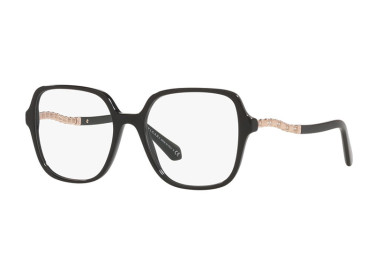 Bvlgari BV4201B 501 Black 53mm