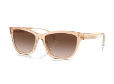 Emporio Armani EA4227U 609813 Shiny Opaline Tundra/Brown Gradient