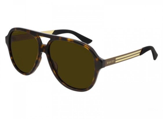 Gucci GG0688S 002 Dark Havana/Brown
