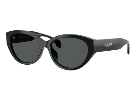 Versace VE4495D GB1/87 Black/Dark Grey