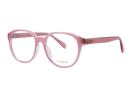 Coach HC6209F 5743 Milky Pink/Transparent Pink 54mm
