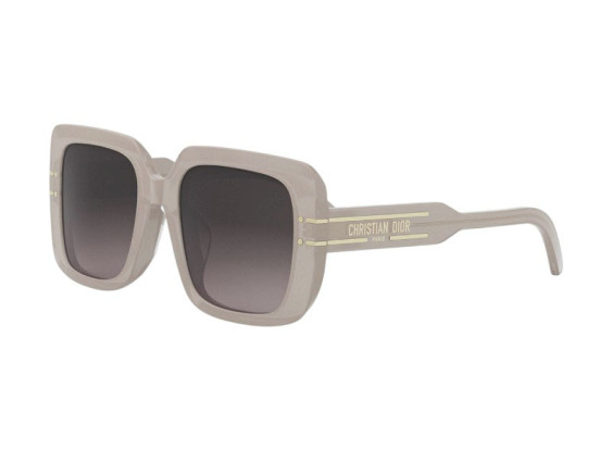 Dior DIORSIGNATURE S11F 78A1 Shiny Brown/Grey Gradient