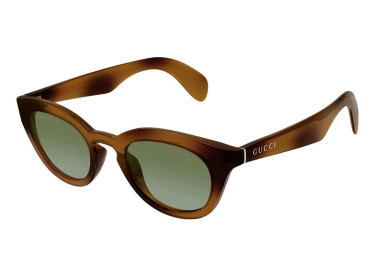 Gucci GG1934S 002 Havana/Green