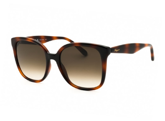 Salvatore Ferragamo SF1072S 240 Havana/Brown Gradient