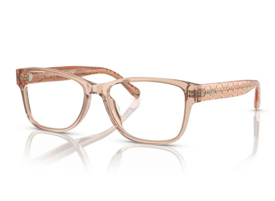 Coach HC6208U 5561 Transparent Brown 52mm