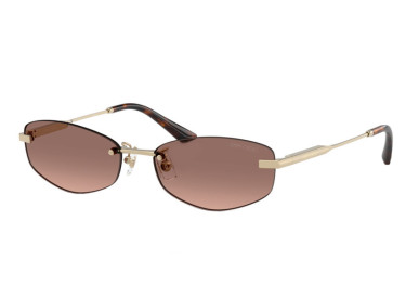Jimmy Choo JC4013D 300613 Pale Gold/Pink Gradient Brown