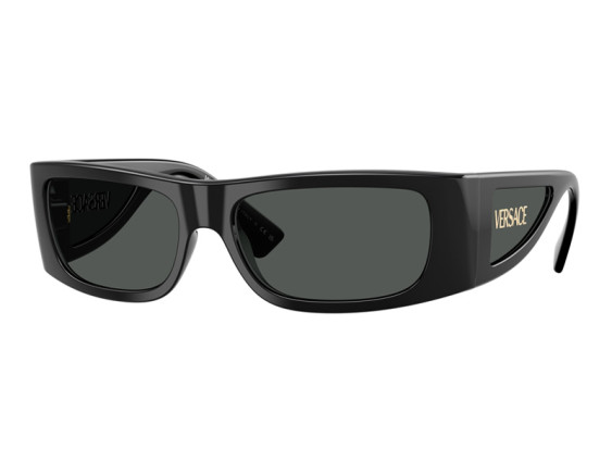 Versace VE4482 GB1/87 Black/Dark Grey