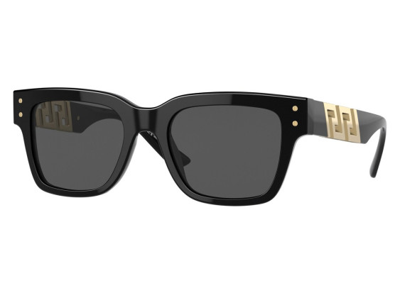 Versace VE4421 GB1/87 Black/Dark Grey