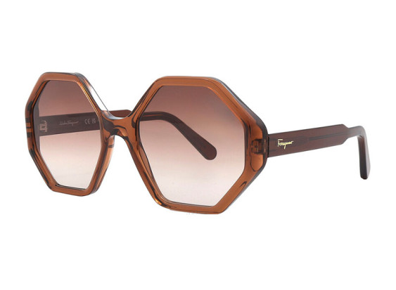 Salvatore Ferragamo SF1070S 210 Transparent Brown/Brown Gradient