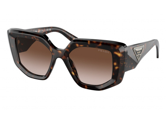 Prada PR14ZS 2AU6S1 Tortoise/Brown Gradient
