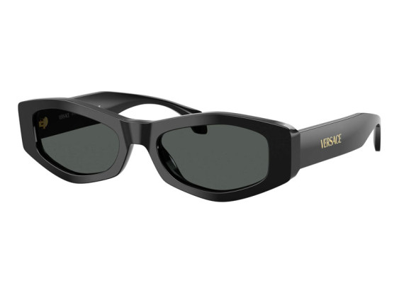 Versace VE4487 GB1/87 Black/Dark Grey