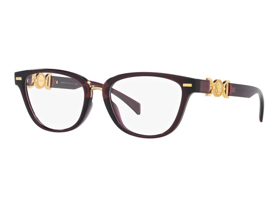 Versace VE3336U 5209 Transparent Violet 54mm