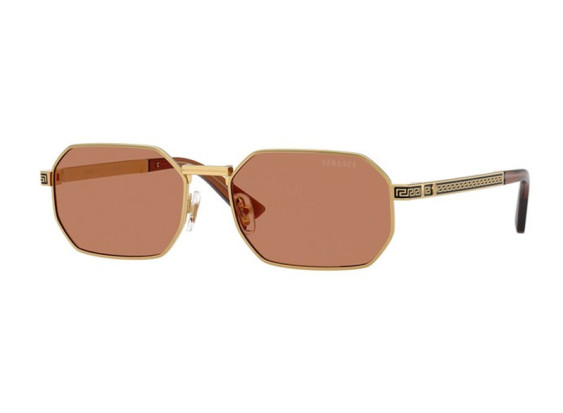 Versace VE2297 100273 Gold/Brown