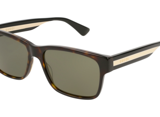 Gucci GG0340S 008 Havana//Green