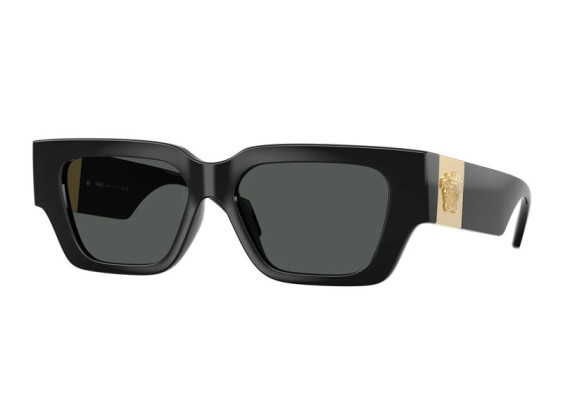 Versace VE4497U GB1/87 Shiny Black/Grey
