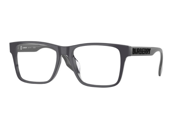Burberry BE2393D 4185 Grey 55mm