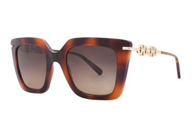 Salvatore Ferragamo SF1041S 238 Classic Havana/Brown Gradient