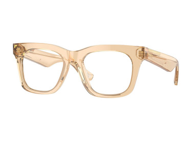 Burberry BE2407F 4063 Transparent Brown 51mm