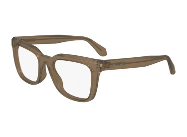 Salvatore Ferragamo SF2990 213 Transparent Light Brown 52mm