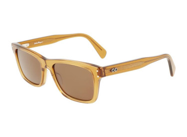 Salvatore Ferragamo SF1039S 261 Transparent Caramel/Brown