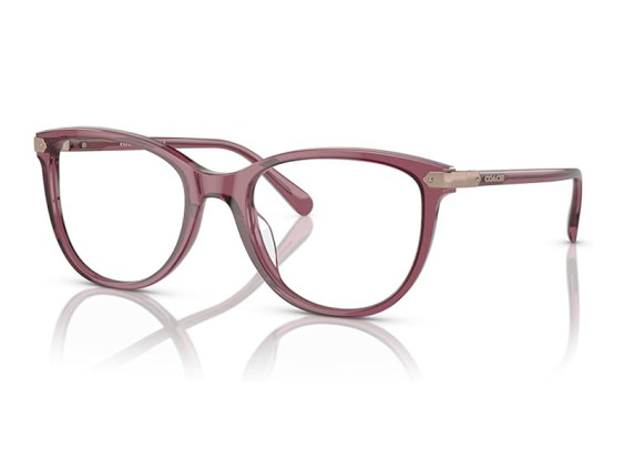 Coach HC6220F 5773 Transparent Purple 56mm