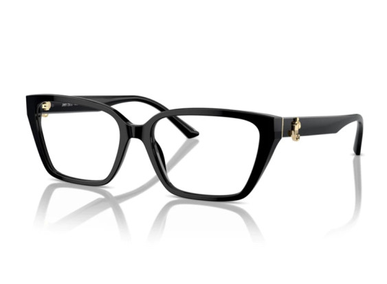 Jimmy Choo JC3008 5000 Black 53mm