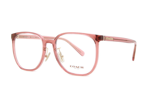 Coach HC6215D 5800 Transparent Berry 56mm