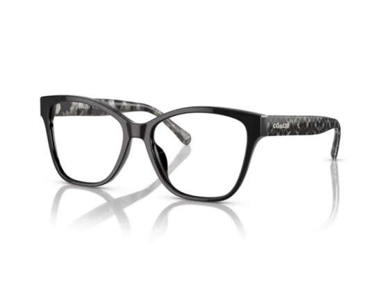 Coach HC6207U 5002 Black 54mm