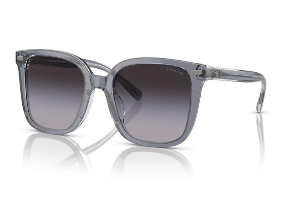 Coach HC8381F 57808G Dark Grey/Light Grey/Light Grey Gradient