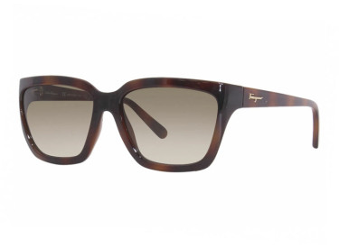 Salvatore Ferragamo SF1018S 214 Havana/Green Brown  Gradient
