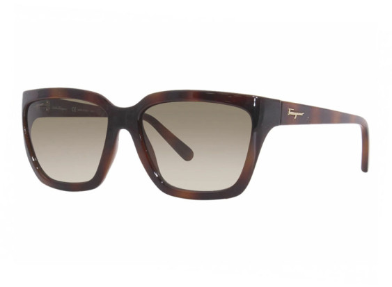 Salvatore Ferragamo SF1018S 214 Havana/Green Brown  Gradient