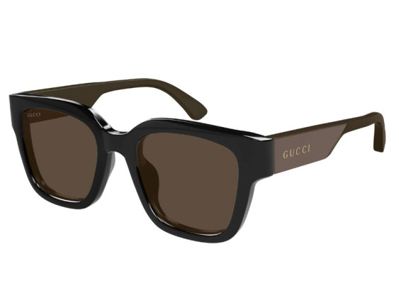 Gucci GG1670SK 004 Black with Dark Brown/Solid Brown