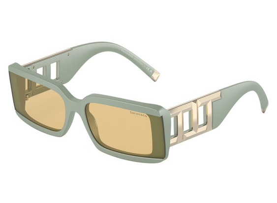 Tiffany & Co. TF4197 8365/8 Matte Sage Green